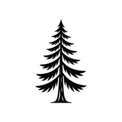 Elegant Black Silhouette of a Tall Evergreen Pine Tree