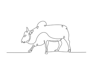 Cow single outline illustration. Continuous line art drawing of cow for farming concept. Editable stroke.