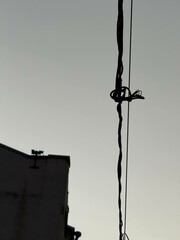 Detailed view of tangled electrical wire hanging in the air with a muted sky in the background. Urban infrastructure captured in minimalistic style.
