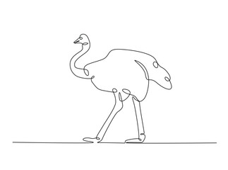 Ostrich bird single outline illustration. Continuous line art drawing of african ostrich. Editable stroke.