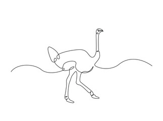 Ostrich bird single outline illustration. Continuous line art drawing of african ostrich. Editable stroke.