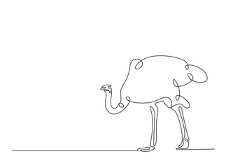 Ostrich bird single outline illustration. Continuous line art drawing of african ostrich. Editable stroke.