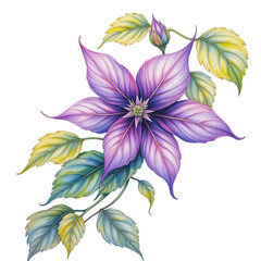 Vibrant purple flower illustrations nature studio artwork creative environment close-up viewpoint