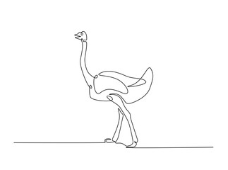 Ostrich bird single outline illustration. Continuous line art drawing of african ostrich. Editable stroke.