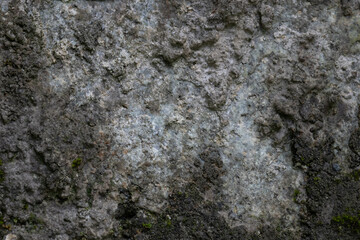 Background for Nature concept, a mossy stone surface with green moss
