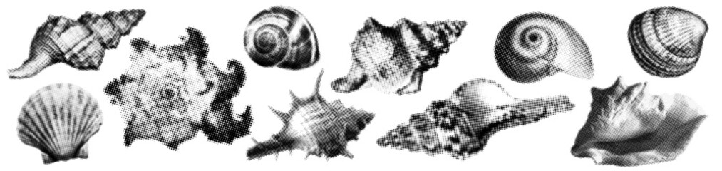 halftone seashell icon set. textured sea clam with trendy dotted effect. y2k stippling print for brutal design