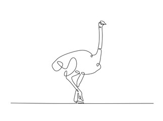 Ostrich bird single outline illustration. Continuous line art drawing of african ostrich. Editable stroke.