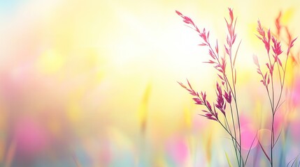 Delicate wildflowers bathed in pastel sunlight.