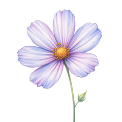 Delicate purple flower nature botanical illustration airy environment close-up view beauty and harmony