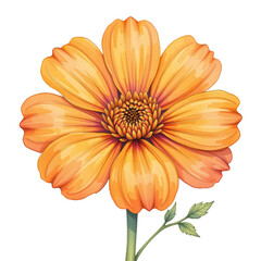 Vibrant orange flower blooming nature garden digital art bright environment close-up view floral concept
