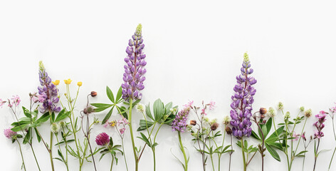 Obraz premium wildflower arrangement, lupine, buttercup, clover, botanical collection on white background