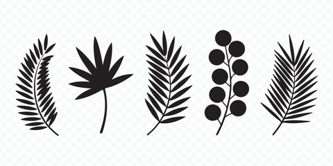 Exotic Botanical Elements Black Illustration Vector