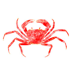 red crab