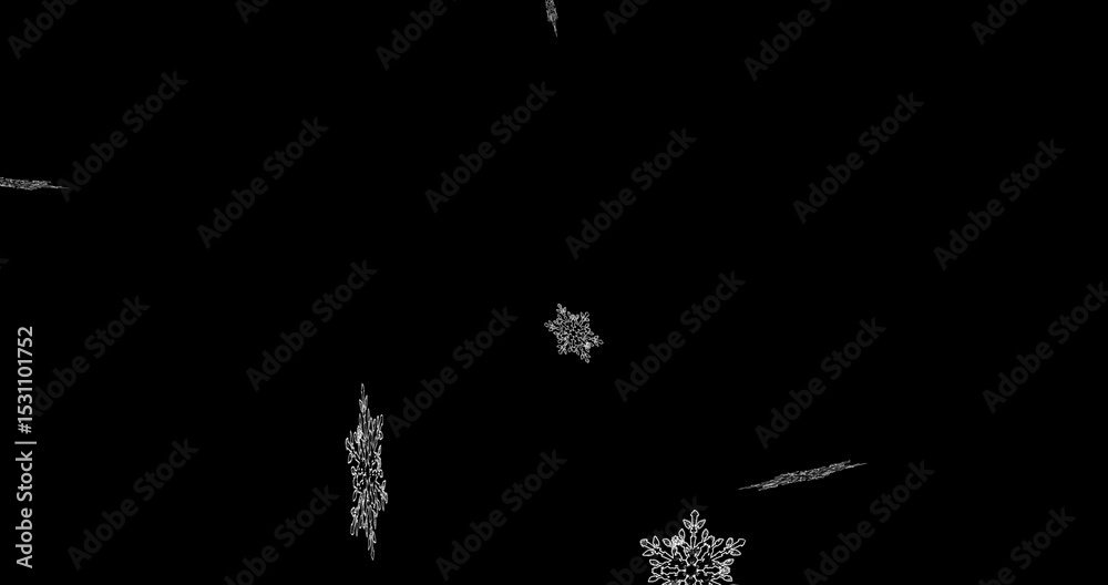 Poster a single white snowflake explosion. flying snowflakes on a black background. abstract animation.