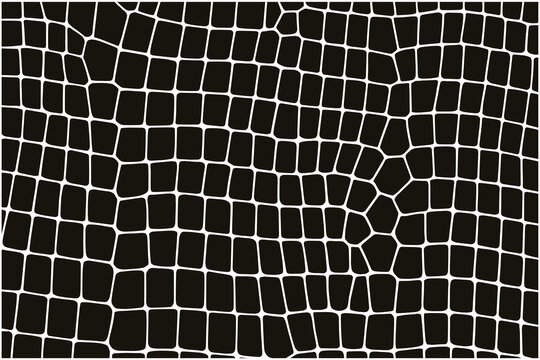 Seamless vector crocodile skin pattern background. Reptile hide texture design for print projects.