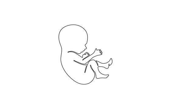 Baby embryo in womb, fetus one art line continuous drawing. Silhouette cute unborn fetus child on mother womb in minimalism, .one line drawing of baby fetus in mother's stomach in gestational age.