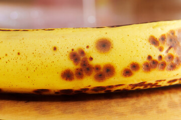 A ripe banana with dark brown spots lies on a wooden surface in a kitchen