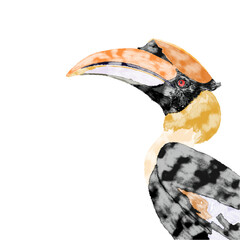 hornbill © TideAndSunday
