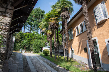 Charming stone-paved alley in Cannobio, Italy, flanked by palm trees, rustic walls, and an ochre...