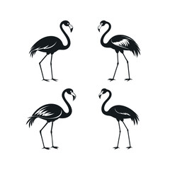 Obraz premium Four black silhouette flamingos facing each other