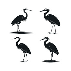 Four elegant heron silhouettes in black and white