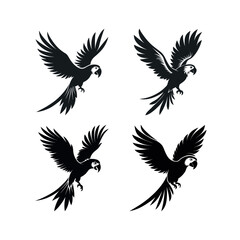 Obraz premium Four black silhouette macaw parrots in flight