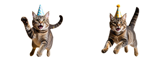 Playful cat jumping with excitement wearing party hat and streamers flying around birthday celebration moment Transparent Background PNG