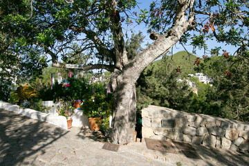 The old quarter of Puig de Misa in Santa Eulalia des Riu on the island of Ibiza.