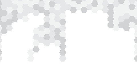 Abstract technology hexagonal background. Illustration of a white background with hexagonal template. White hexagon honeycombs background. Hexa gray Abstract Geometric Wide Banner Design.