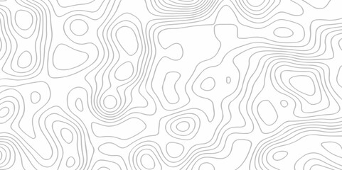 Topographic map lines contour background. Grid geographic relief topographic map pattern background vector. Vector seamless background topography stylized height of the lines map.	