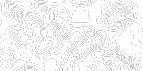 Topographic map lines contour background. Grid geographic relief topographic map pattern background vector. Vector seamless background topography stylized height of the lines map.	