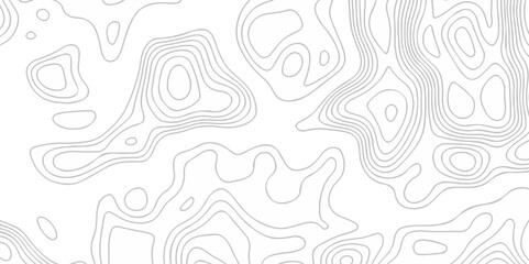 Topographic map lines contour background. Grid geographic relief topographic map pattern background vector. Vector seamless background topography stylized height of the lines map.	