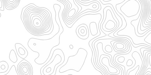 Topographic map lines contour background. Grid geographic relief topographic map pattern background vector. Vector seamless background topography stylized height of the lines map.	