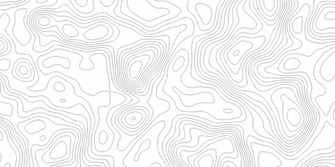 Topographic map lines contour background. Grid geographic relief topographic map pattern background vector. Vector seamless background topography stylized height of the lines map.	