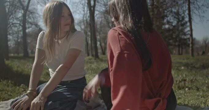 Two teenage girls enjoy a beautiful day in the park. They sit on a blanket in the grass, chatting and laughing. One girl braids the other's hair while she playfully tickles her friend.