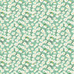 Daisy seamless pattern
