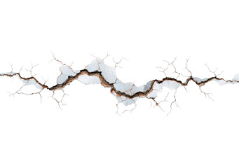 Realistic horizontal crack with exposed roots on transparent background, PNG