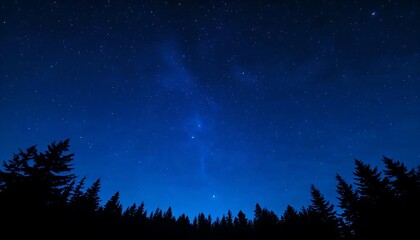 Starry Sky Over Forest at Night