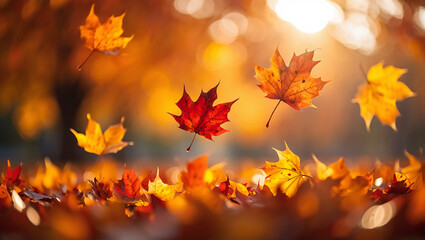 Obraz premium Vibrant autumn leaves falling against a soft blurry background creating seasonal beauty