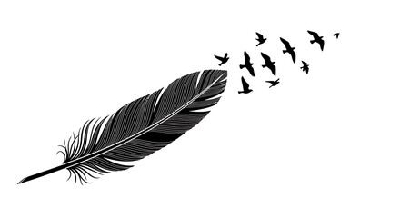 Black Feather with Silhouetted Birds Taking Flight