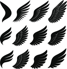 Winged silhouette vector of birds and flight symbols in black design style