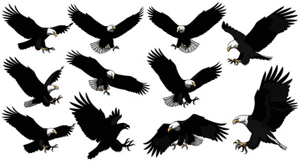 Diverse Bald Eagle Illustrations in Flight