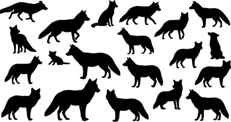 Obraz premium Fox coyote silhouettes set, large pack of vector silhouette design, isolated white background 
