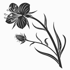 black and white bird-bill dayflower