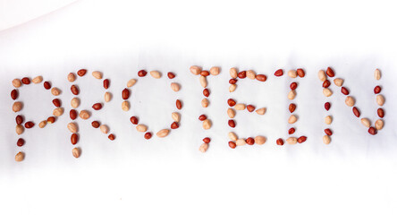 Word Protein written using letters made of peanuts framed on isolated white background. Peanut is a...