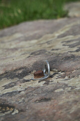 A rusted metal anchor is embedded in a rough rock surface, ideal for climbing.