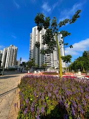 Fountain in the middle of a modern residential area. Multi-storey apartment buildings, Israeli city. Comfortable housing