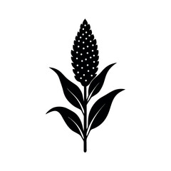 sorghum vector silhouette