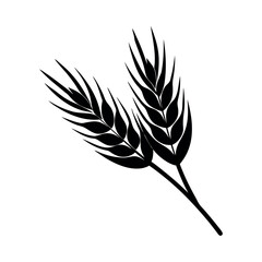 triticale vector on white background