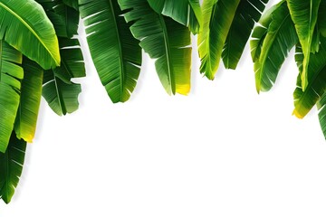 Tropical banana leaves frame, vibrant green